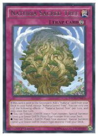 card605008-series484476-rarity540551