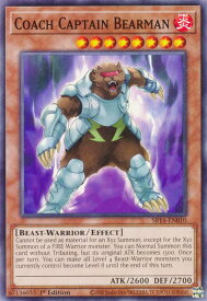 card605663-series375336-rarity540534