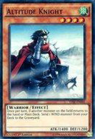 card605806-series484089-rarity540535