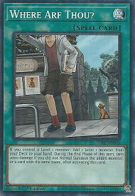 card606317-series432730-rarity540534