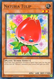card607376-series378029-rarity540534