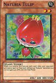 card607376-series491051-rarity540535