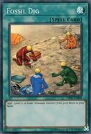 card608007-series477198-rarity540535