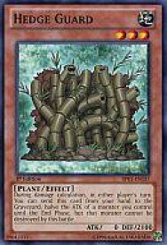 card608117-series378055-rarity540534