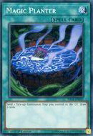 card608131-series378406-rarity540535