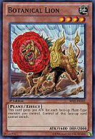 card608310-series378055-rarity540534