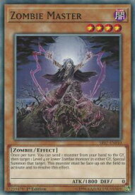 card608998-series377497-rarity540534