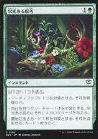 card6294080-series6538829-rarity323480
