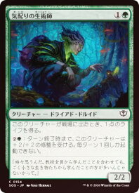card6294084-series6538829-rarity323480