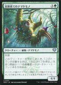 card6294087-series6538829-rarity323478