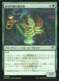 card6294093-series6538829-rarity323480