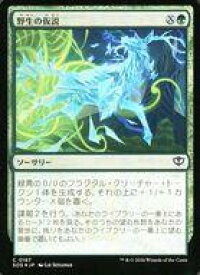 card6294097-series6538829-rarity323480