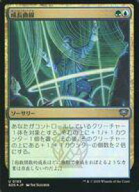 card6294123-series6538829-rarity323478