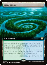 card6330434-series6575274-rarity323476