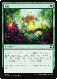 card314431-series6575274-rarity323480
