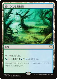 card304816-series6575274-rarity323476