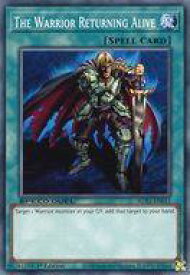 card715874-series378099-rarity540534