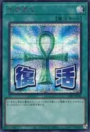 card_13406_series_1460300_rarity_5_