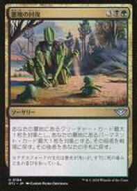 card_289302_