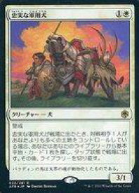 card294279-series172486-rarity323476