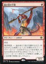 card294412-series172486-rarity323476