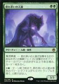 card294467-series172486-rarity323476