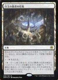 card294514-series172486-rarity323476