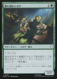 card322678-series200846-rarity323480