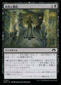 card328009-series206173-rarity323480