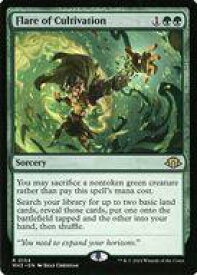 card328052-series206173-rarity323476
