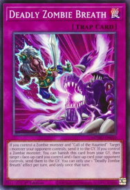 card4823598-series4857918-rarity540535