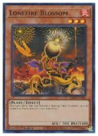card501892-series373117-rarity540535