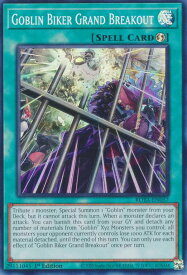 card503393-series374158-rarity540535