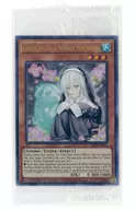 card501900-series377495-rarity540536