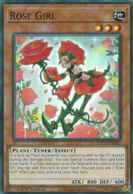 card501902-series377460-rarity540535