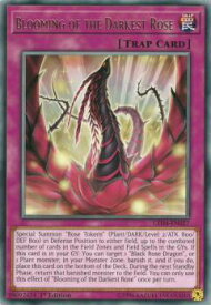 card501915-series373136-rarity540551