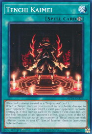 card515828-series374400-rarity540534