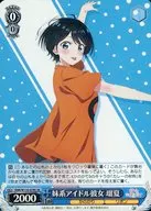 card516433-series387280-rarity557104