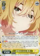 card517104-series387280-rarity557285