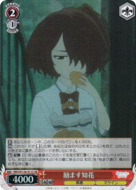 card_519113_