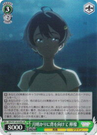card519194-series390039-rarity557104