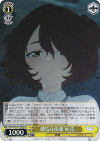 card_519282_