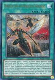 card_519672_