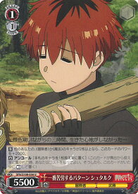 card527399-series398414-rarity557246