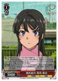card527730-series398852-rarity557104