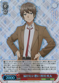 card527756-series398852-rarity557104