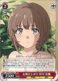 card527766-series398852-rarity557246