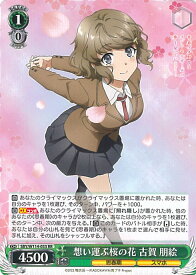card527816-series398852-rarity557275