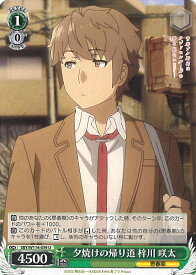 card527828-series398852-rarity557246