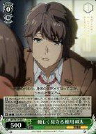 card527832-series398852-rarity557243